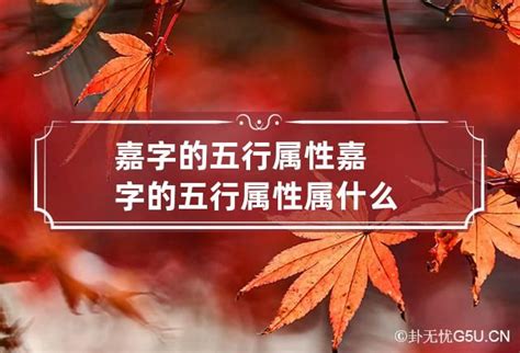 嘉五行屬性|嘉字五行属什么 嘉在五行中属什么